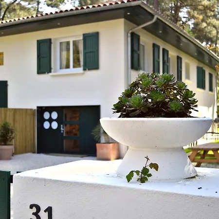 Apartment Clemence Green, Naou Hossegor- Wifi - Sauna - Salle De Sport - Netflix
